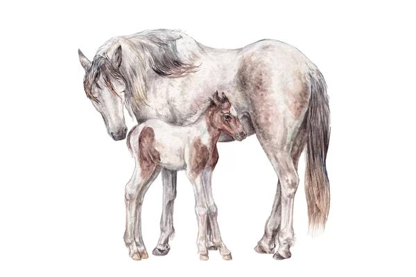 Wandering Laur: Horse And Foal by Wandering Laur