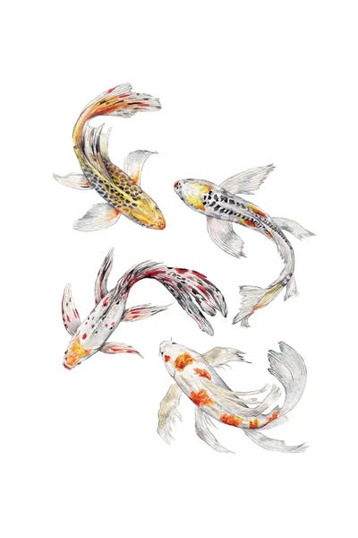 Wandering Laur: Watercolor Koi Fish by Wandering Laur