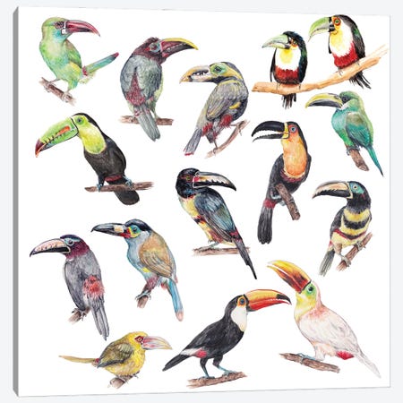 Watercolor Jungle Toucan Birds Canvas Print #RGF141} by Wandering Laur Canvas Wall Art