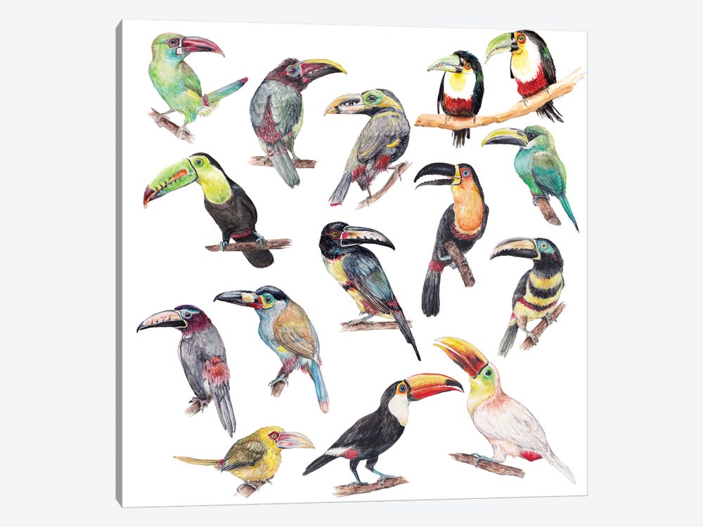 Watercolor Jungle Toucan Birds by Wandering Laur 1-piece Canvas Wall Art