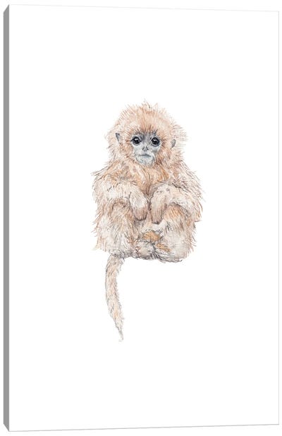 Sweet Baby Watercolor Tamarin Monkey Canvas Art Print - Primate Art