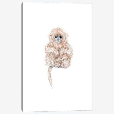 Sweet Baby Watercolor Tamarin Monkey Canvas Print #RGF142} by Wandering Laur Canvas Art