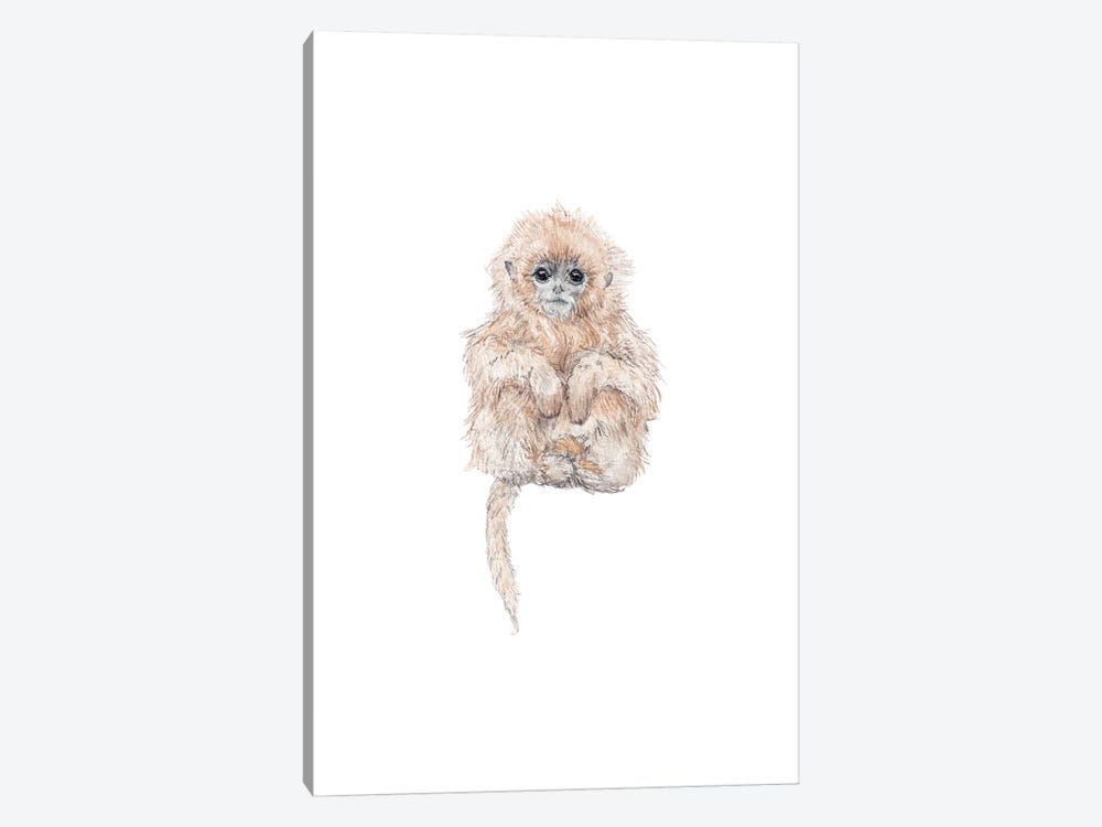 Sweet Baby Watercolor Tamarin Monkey by Wandering Laur 1-piece Canvas Art Print