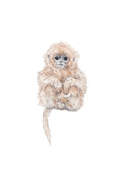 Wandering Laur: Sweet Baby Watercolor Tamarin Monkey by Wandering Laur