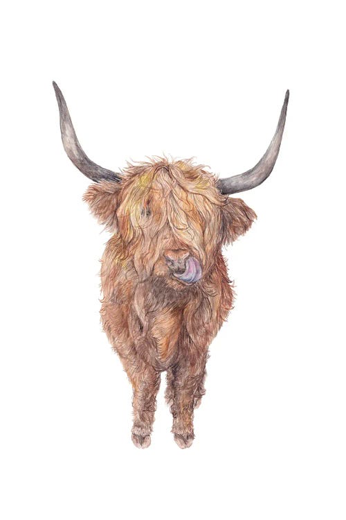 Watercolor Highland Cow