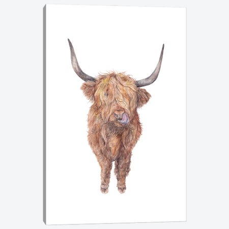 Watercolor Highland Cow Canvas Print #RGF143} by Wandering Laur Canvas Wall Art