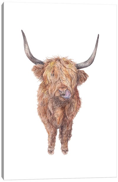 Watercolor Highland Cow Canvas Art Print - Wandering Laur
