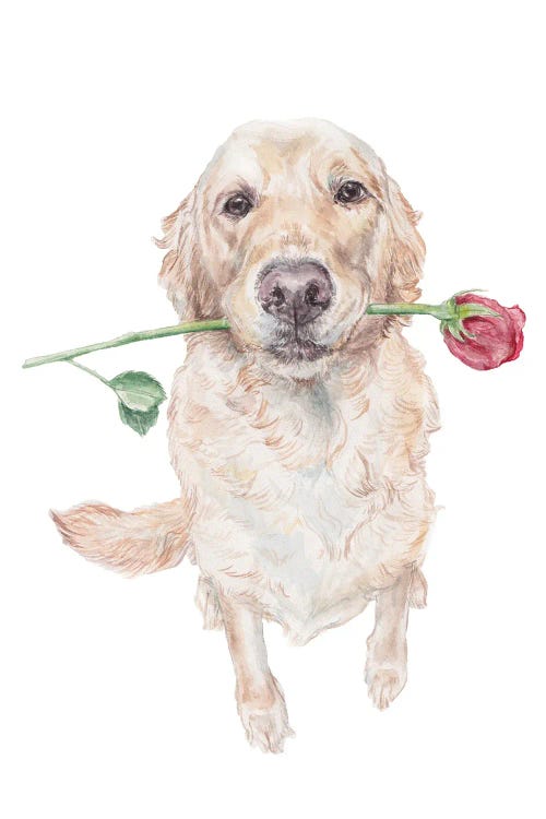 Sweet Golden Retriever Dog With Rose by Wandering Laur wall art