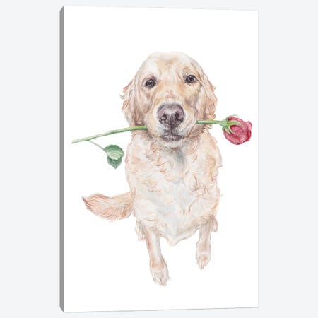 Sweet Golden Retriever Dog With Rose Canvas Print #RGF144} by Wandering Laur Canvas Print
