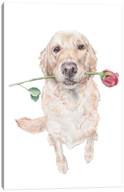 Sweet Golden Retriever Dog With Rose Canvas Art Print - Golden Retriever Art