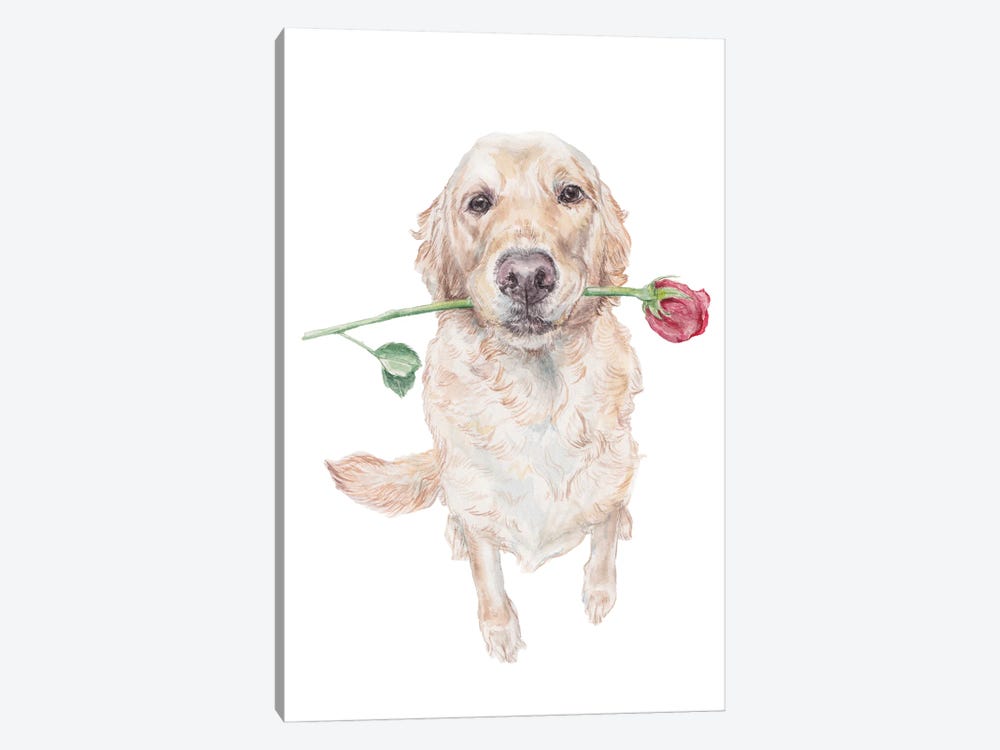 Sweet Golden Retriever Dog With Rose by Wandering Laur 1-piece Art Print