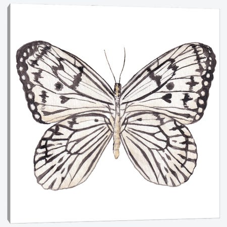 Zebra Butterfly Watercolor Canvas Print #RGF145} by Wandering Laur Art Print