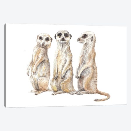 Funny Watercolor Meerkats Canvas Print #RGF146} by Wandering Laur Art Print
