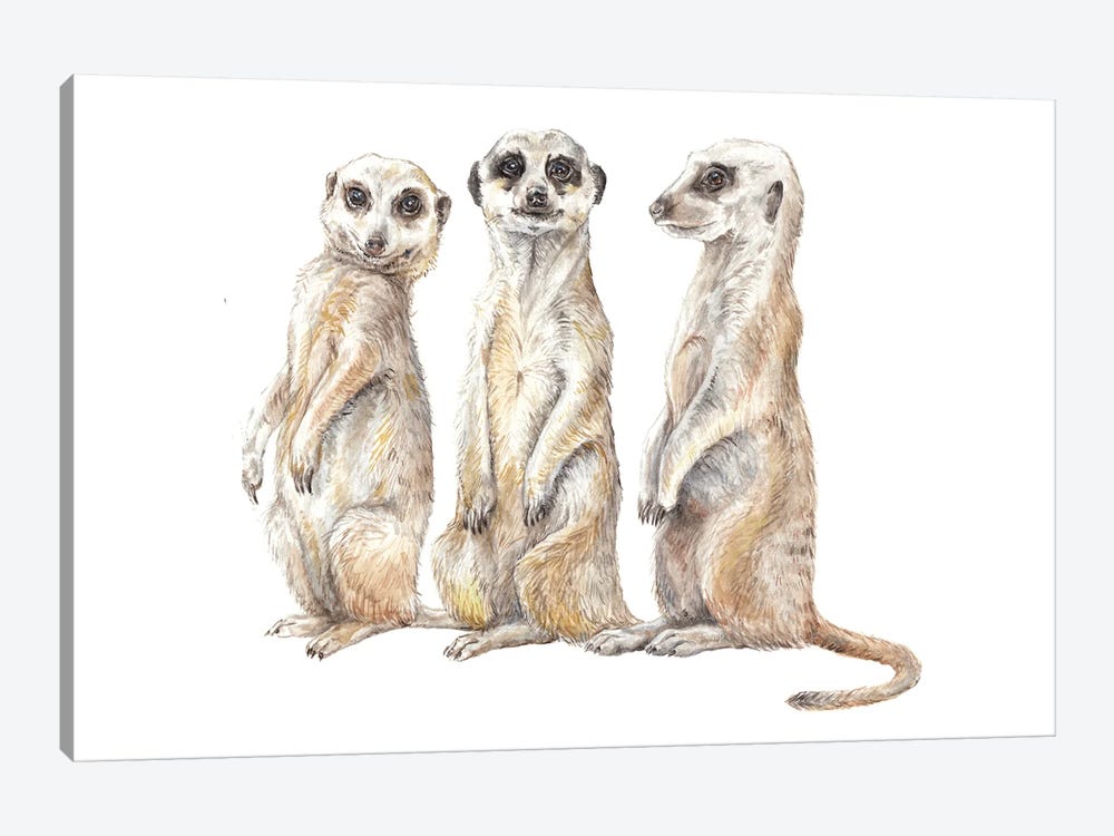Funny Watercolor Meerkats by Wandering Laur 1-piece Art Print