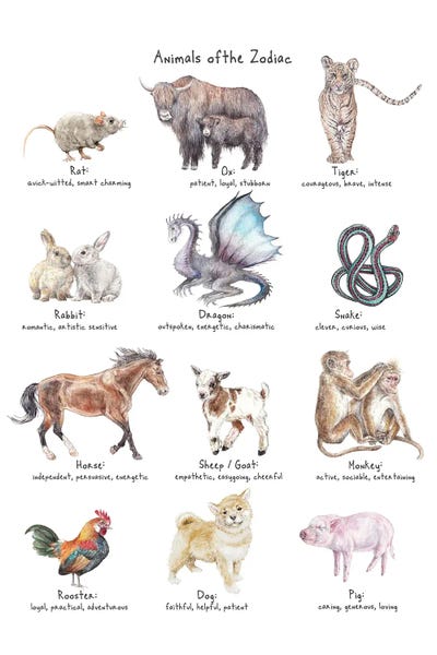 Wandering Laur: Watercolor Zodiac Animals by Wandering Laur