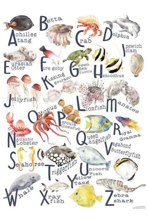 Under The Sea A To Z Fish Alphabet Poster