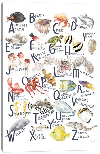 Under The Sea A To Z Fish Alphabet Poster Canvas Art Print - Alphabet Art