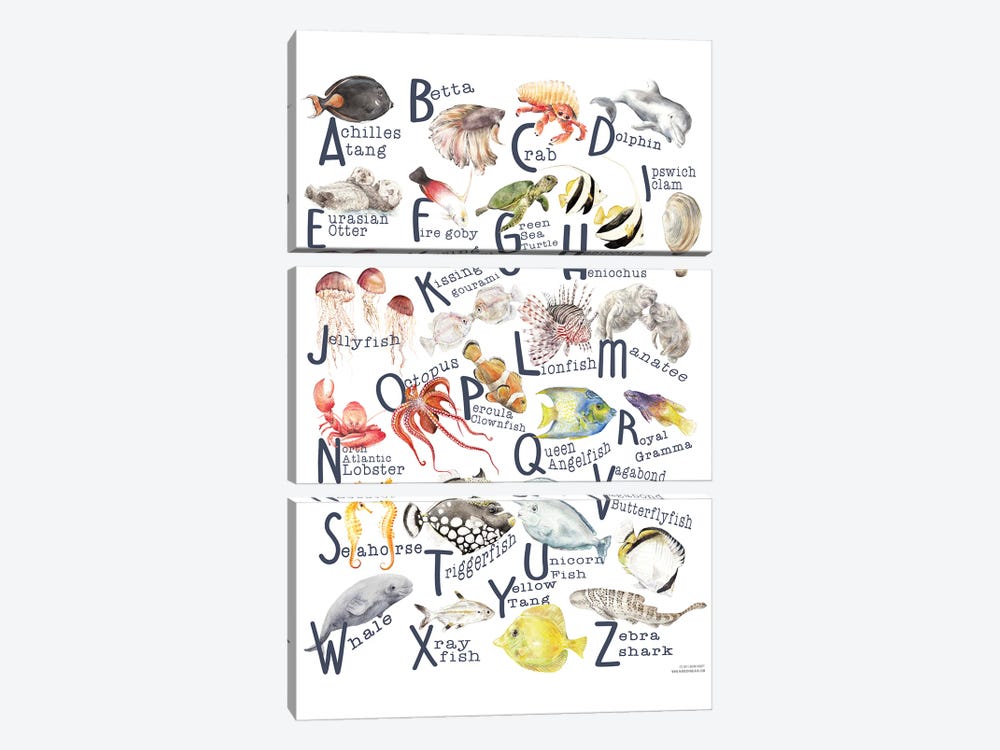 Under The Sea A To Z Fish Alphabet Poster by Wandering Laur 3-piece Canvas Art Print