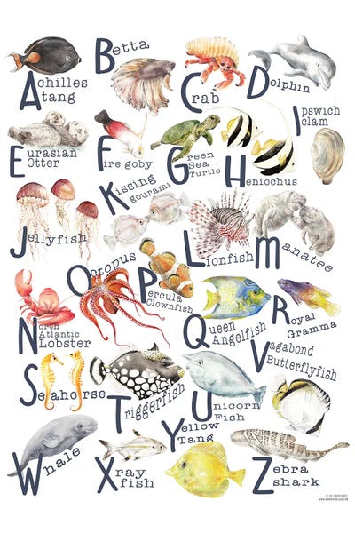 Wandering Laur: Under The Sea A To Z Fish Alphabet Poster by Wandering Laur