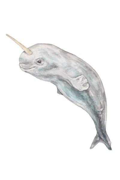 Wandering Laur: Baby Watercolor Narwhal by Wandering Laur