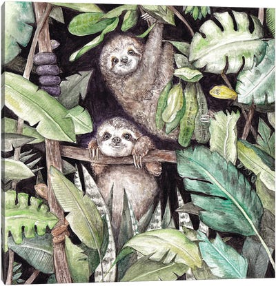 Baby Sloths In The Jungle Canvas Art Print - Sloth Art