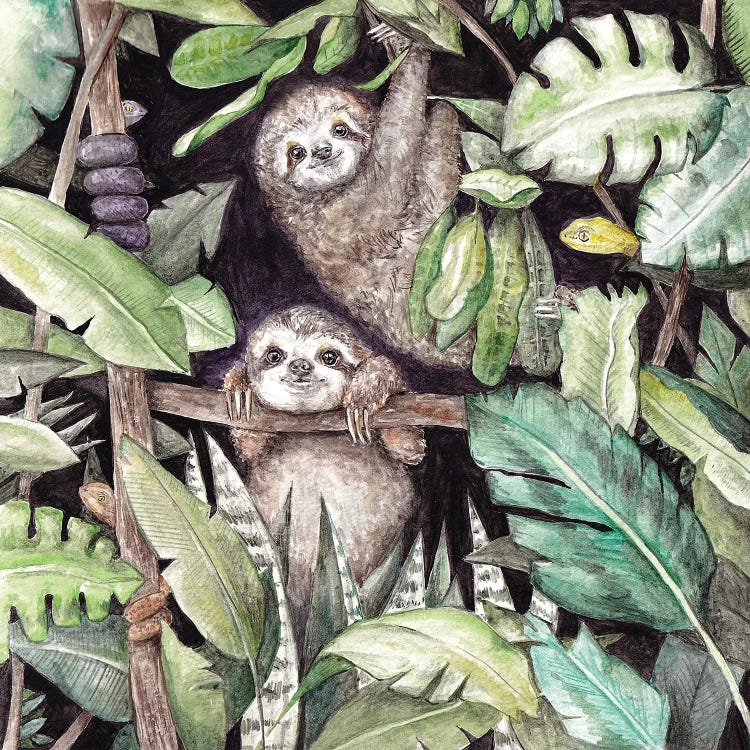 Baby Sloths In The Jungle by Wandering Laur wall art
