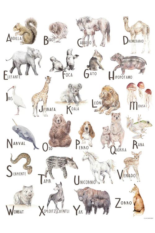 Animals A To Z Spanish Canvas Print by Wandering Laur | iCanvas
