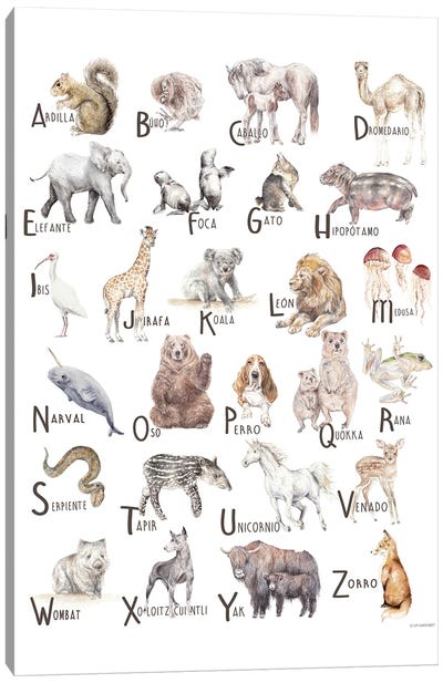 Animals A To Z Spanish Canvas Art Print - Alphabet Art