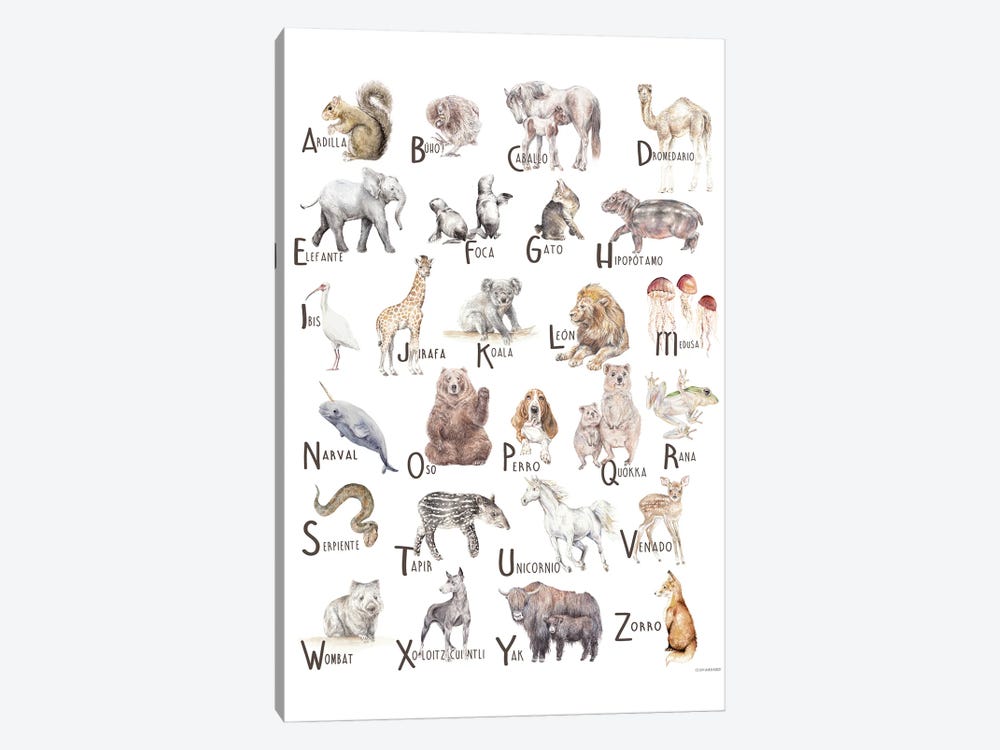 Animals A To Z Spanish by Wandering Laur 1-piece Canvas Art