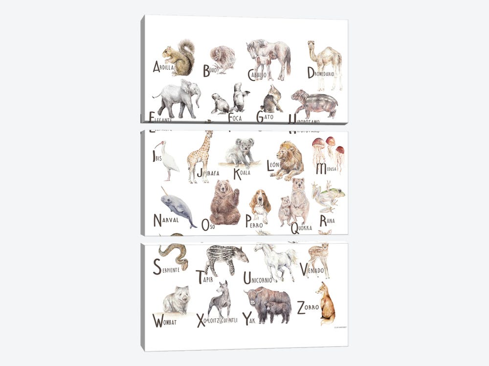 Animals A To Z Spanish by Wandering Laur 3-piece Canvas Artwork