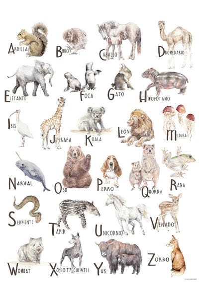 Kids Educational Art: Animals A To Z Spanish by Wandering Laur