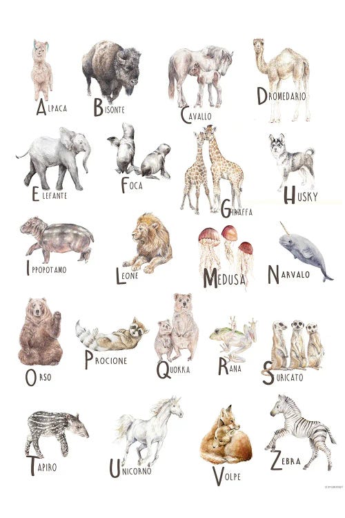 Animals A To Z Italian Canvas Wall Art by Wandering Laur | iCanvas