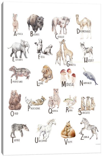 Animals A To Z Italian Canvas Art Print - Full Alphabet Art