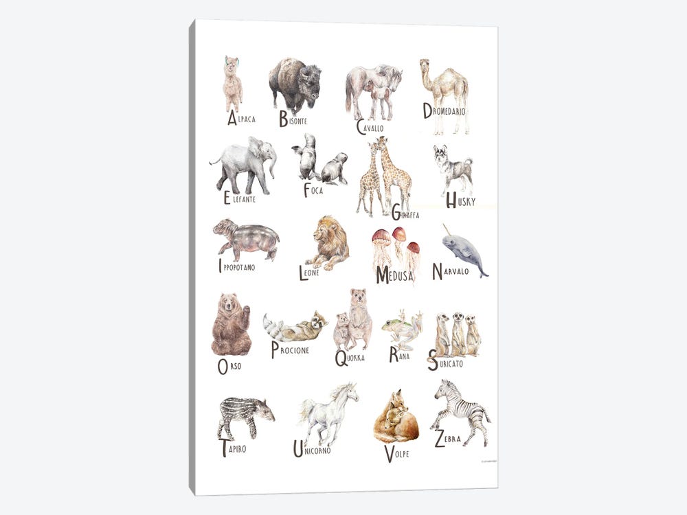 Animals A To Z Italian Canvas Wall Art by Wandering Laur | iCanvas