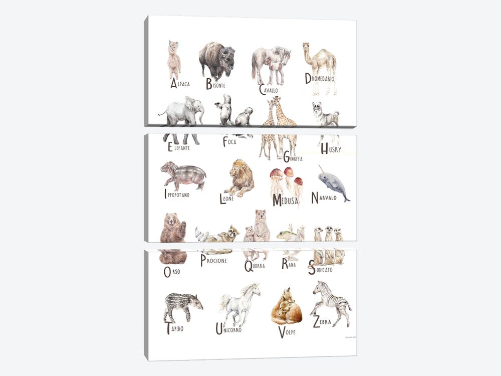 Animals A To Z Italian by Wandering Laur 3-piece Canvas Art Print