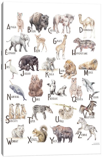 Animals A To Z French Canvas Art Print - Full Alphabet Art
