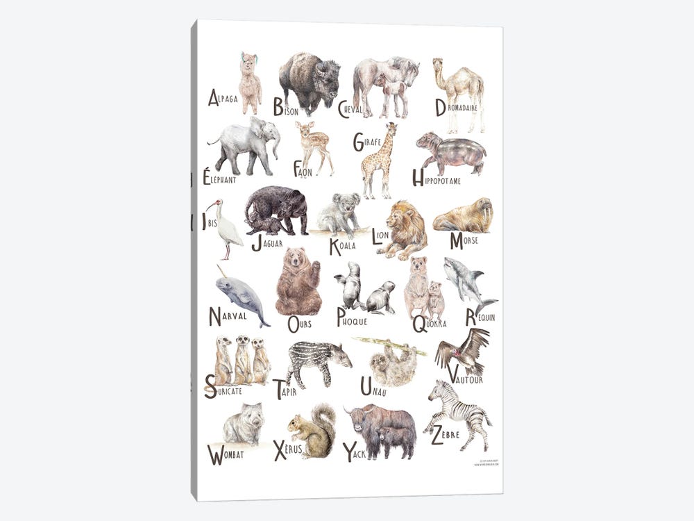 Animals A To Z French by Wandering Laur 1-piece Canvas Art