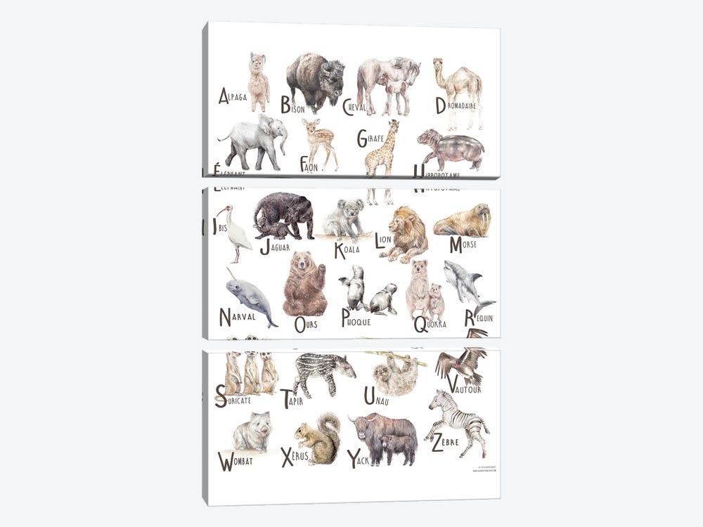 Animals A To Z French by Wandering Laur 3-piece Canvas Wall Art