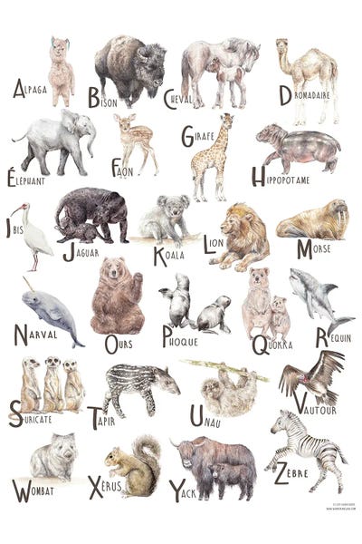 Full Alphabet: Animals A To Z French by Wandering Laur