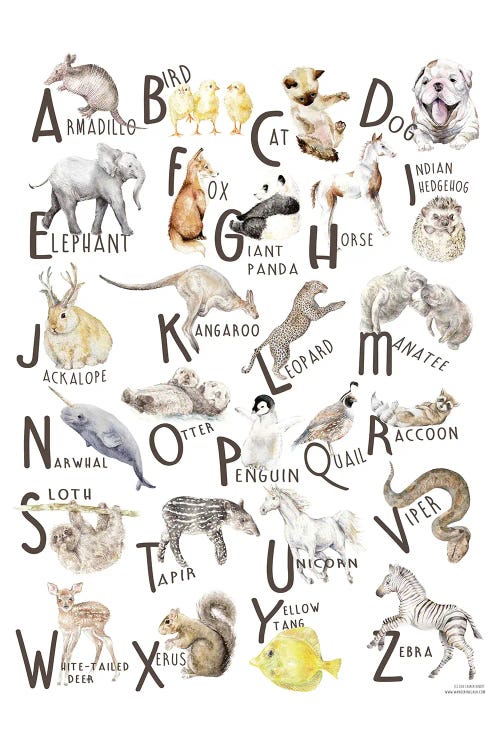 Watercolor Animals A To Z