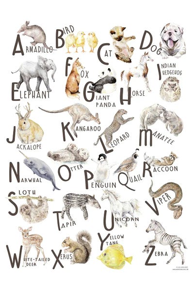Full Alphabet: Watercolor Animals A To Z by Wandering Laur
