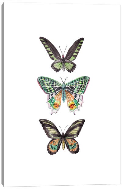 Watercolor Butterflies Canvas Art Print - Wandering Laur