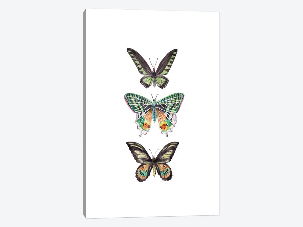Watercolor Butterflies by Wandering Laur 1-piece Canvas Art