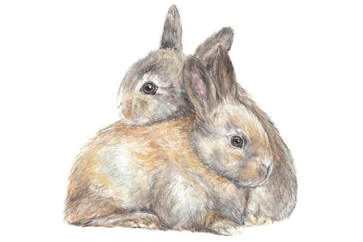 Snuggle Bunnies by Wandering Laur wall art