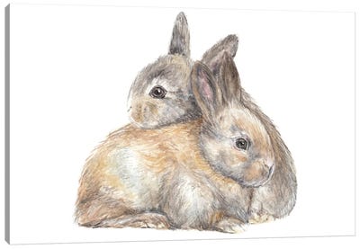 Snuggle Bunnies Canvas Art Print - Wandering Laur