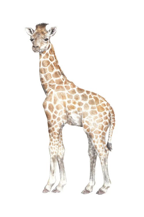 Watercolor Baby Giraffe