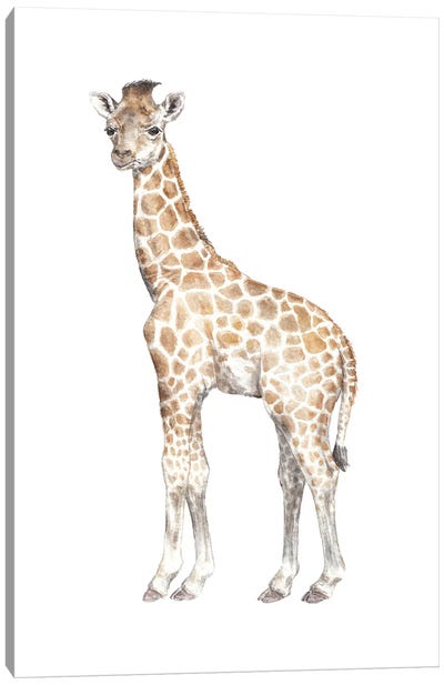 Watercolor Baby Giraffe Canvas Art Print - Wandering Laur