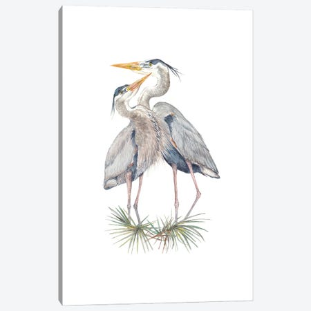Watercolor Herons Canvas Print #RGF159} by Wandering Laur Art Print
