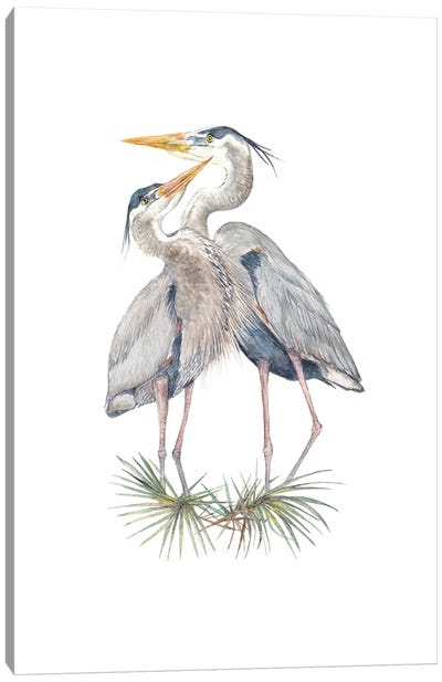 Watercolor Herons Canvas Art Print - Wandering Laur