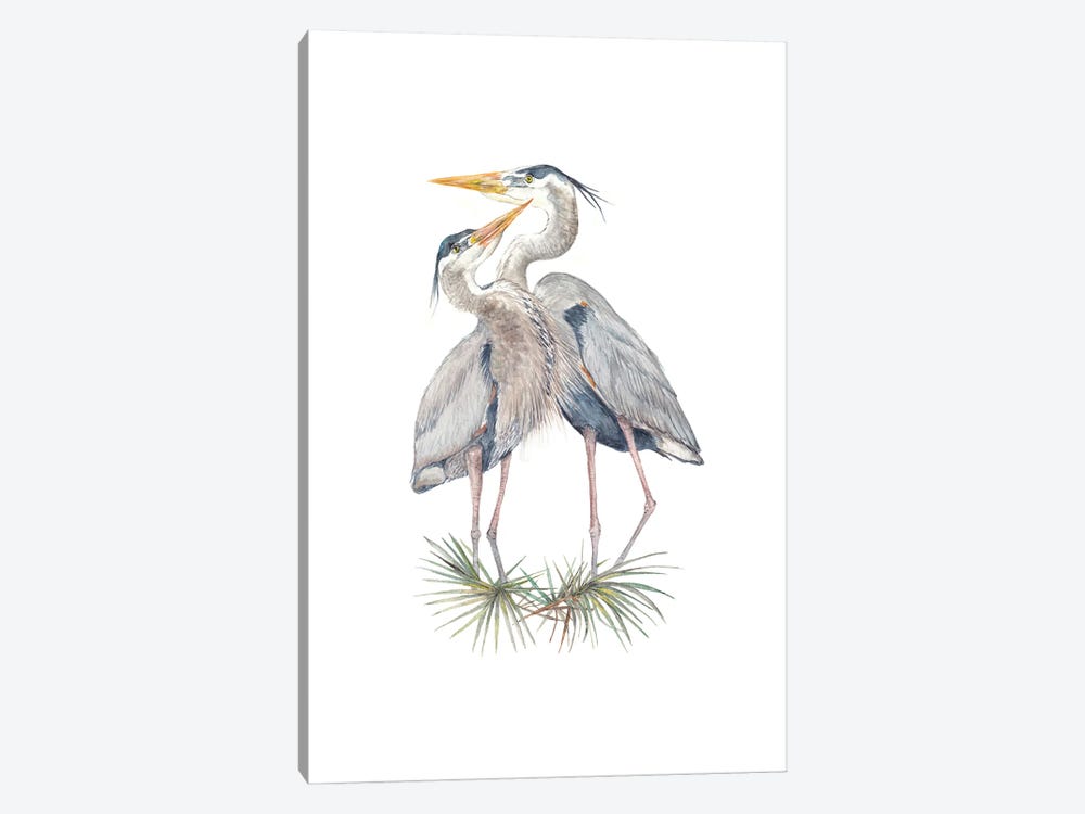Watercolor Herons by Wandering Laur 1-piece Canvas Print
